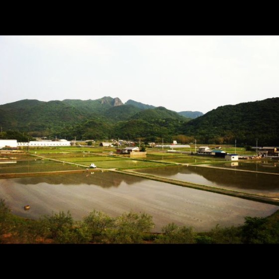 田植えがほぼ終了