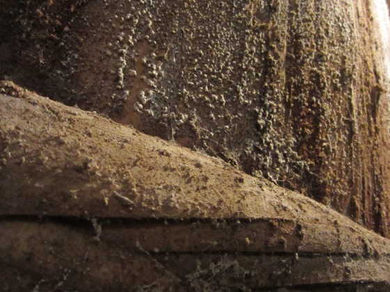 木桶の王国　小豆島