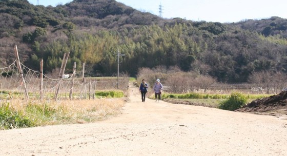 あったか自家菜園